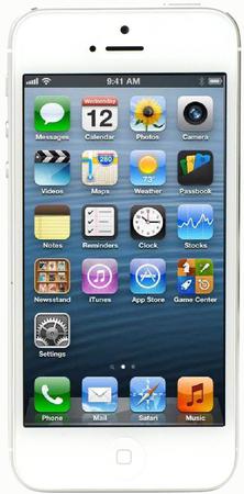 Смартфон Apple iPhone 5 64Gb White & Silver - Кубинка