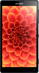Sony Xperia ZL - Кубинка